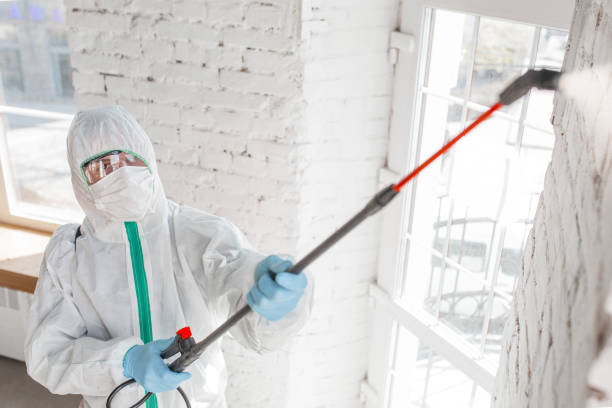 Best Commercial Mold Inspection  in Monson Center, MA