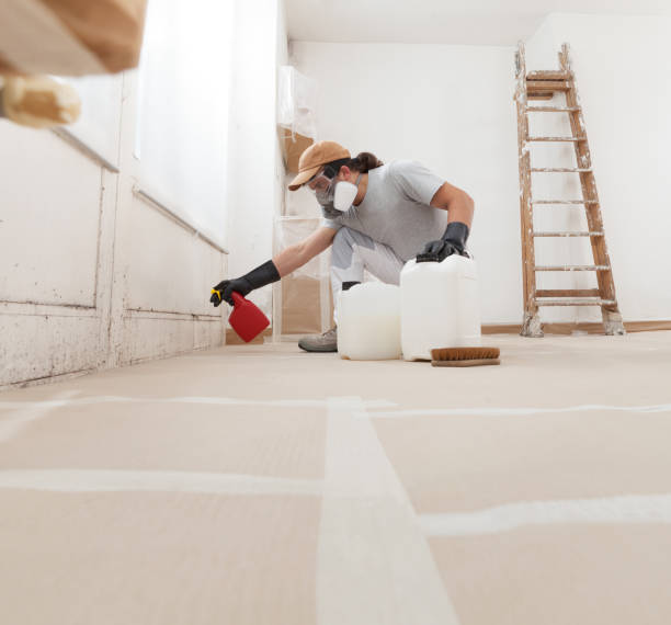 Best Mold Removal for HVAC Installations  in Monson Center, MA